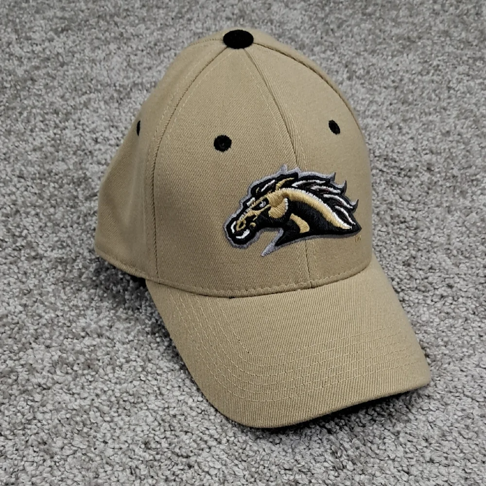 Top‎ Of The World Denver Broncos Logo Hat Embroidered